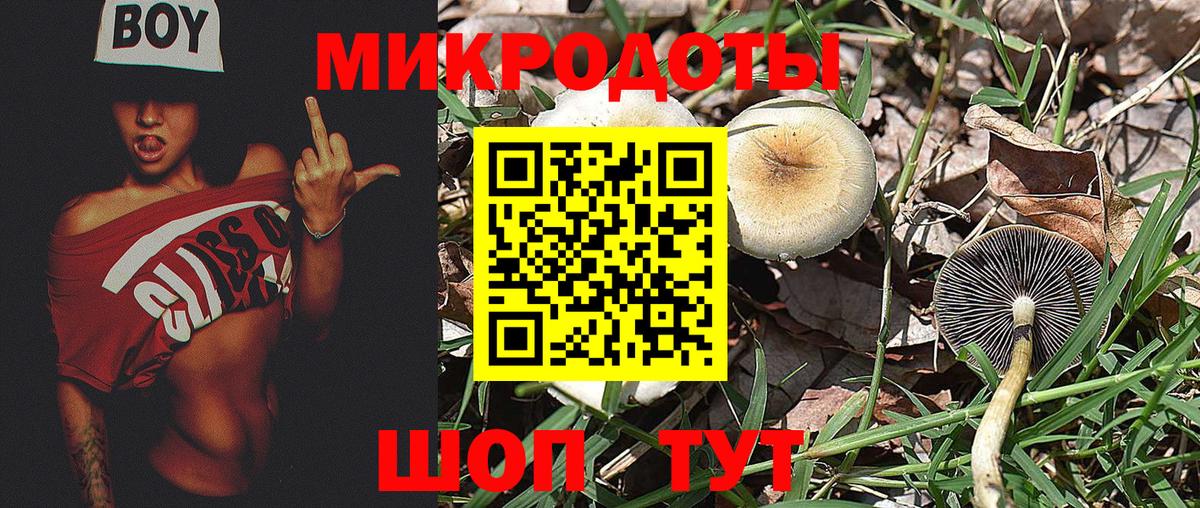 Гудермес  наркошоп  Вход с VPN  Галлюциногенные грибы ЛСД 